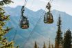 Banff Wildlife Tour and Gondola Alberta