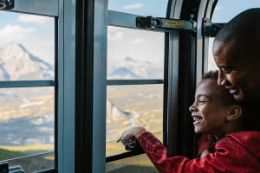 Banff Wildlife Tour and Gondola view