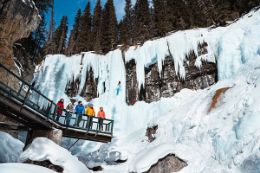 Johnston Canyon Icewalk Banff tour