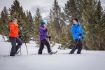 Kootenay National Park Snowshoe Tour to Paint Pots, Alberta