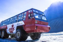 Columbia Icefields Tour from Banff, Ice Explorer
