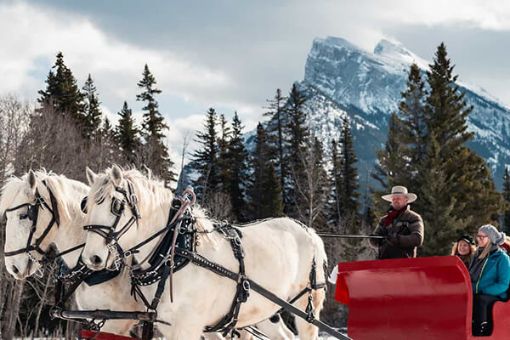 Banff Sleigh Ride Banff National Park