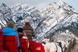 Banff Sleigh Ride winter activity