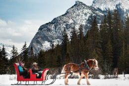 Private Banff Family Sleigh Ride