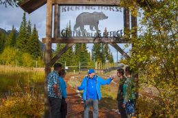 Grizzly Bear Refuge Kicking Horse Mountain Resort