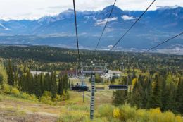 Grizzly Bear Refuge Kicking Horse Mountain Resort chair lift