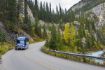 Grizzly Bear Refuge Banff National Park highway tour bus