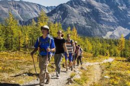 Banff National Park hiking tour with guide	