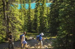 Kootenay National Park , Banff Guided Signature Hikes