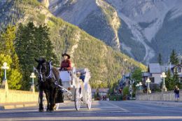 Banff private horse-drawn carriage ride tour
