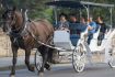 Fairmont Banff Springs Hotel Carriage Ride