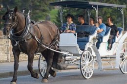 Fairmont Banff Springs Hotel Carriage Ride