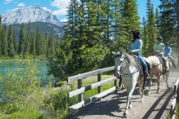 Banff Horseback Ride along the Bow River