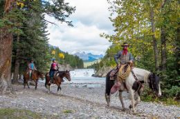 Guided Tour Banff Horseback Riding Bow Falls