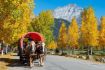 Banff National Park covered wagon ride along Bow River