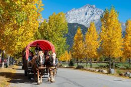 Banff National Park covered wagon ride along Bow River