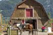 Banff covered wagonride, cowboy BBQ, Warner Stables