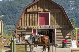 Banff covered wagonride, cowboy BBQ, Warner Stables