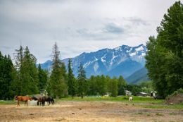 Horseback Riding, Pemberton, British Columbia, Cowboy Dinner