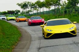 Drive up to 6 Exotic Cars and Supercars in one day, Hamilton, Ontario