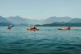 scenery and wildlife of BC's Howe Sound on guided kayaking tour