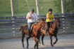 Learn to play polo Toronto, Ontario