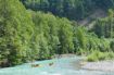 fun things to do in Whistler, BC - white water rafting