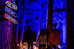Valley Lumina illumination - Whistler activity summer and winter
