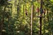 Treetop aerial adventure on the Whistler Aerial Obstacle Course