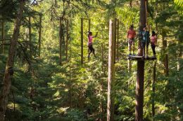 Treetop aerial adventure on the Whistler Aerial Obstacle Course