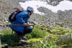 Ancient Glacier Discovery Tour Whistler BC