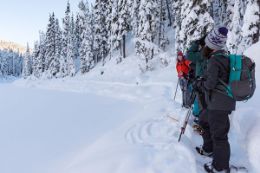 Whistler Backcountry Snowshoeing Tour - Joffre Lakes