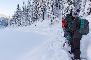 Whistler Backcountry Snowshoeing Tour - Joffre Lakes Whistler Backcountry Snowshoeing Tour - Joffre Lakes