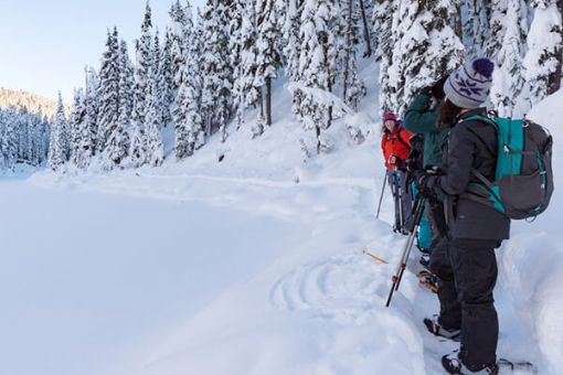 Whistler Backcountry Snowshoeing Tour - Joffre Lakes