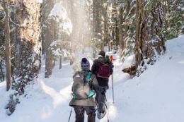 Whistler guided snowshoeing experience Crater Rim Trail and Logger’s Lake 