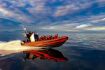 Whale Watching Tour, Vancouver Island, Zodiac Boat