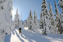 learn to Backcountry Whistler Splitboard or Ski