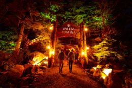 Whistler Vallea Lumina Night Walk experience