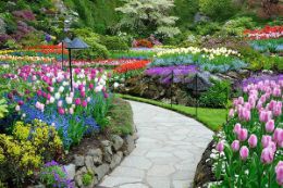  Visit to Butchart Gardens guided tour