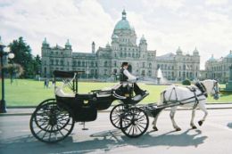 Victoria BC Horse Drawn Carriage Tour