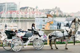 Victoria BC city tour in a Horse Drawn Carriage Tour