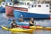 Paddle along the coast on a Halifax Sea Kayaking Tour and Hike