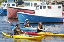 Paddle along the coast on a Halifax Sea Kayaking Tour and Hike