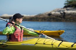 Discover the beauty of Nova Scotia on a guided Halifax Sea Kayaking Tour.