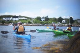 guided Halifax Sea Kayaking Tour