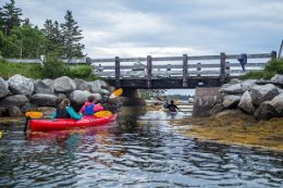 Kayak tour from Lower Prospect, under bridge