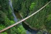 Capilano Suspension Bridge on Vancouver sightseeing tour.