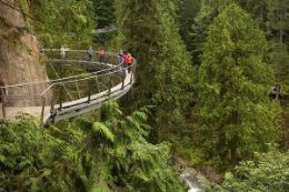 Vancouver North Shore Tour Treetop Adventures bridge