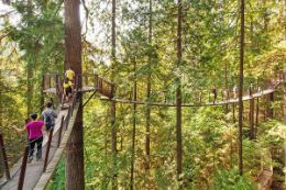 Aerial course on Vancouver North Shore Tour