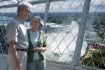 View of Niagara Fall from Skylon Tower